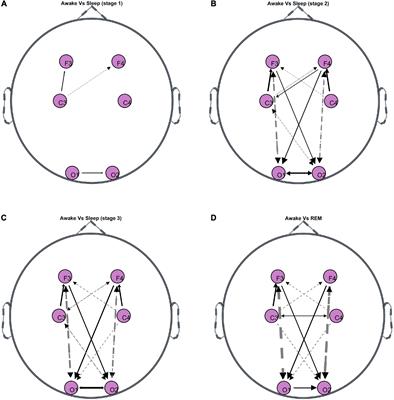 Brain and brain-heart Granger causality during wakefulness and sleep